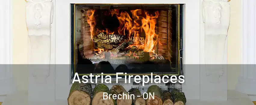  Astria Fireplaces Brechin - ON