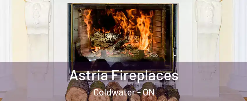  Astria Fireplaces Coldwater - ON
