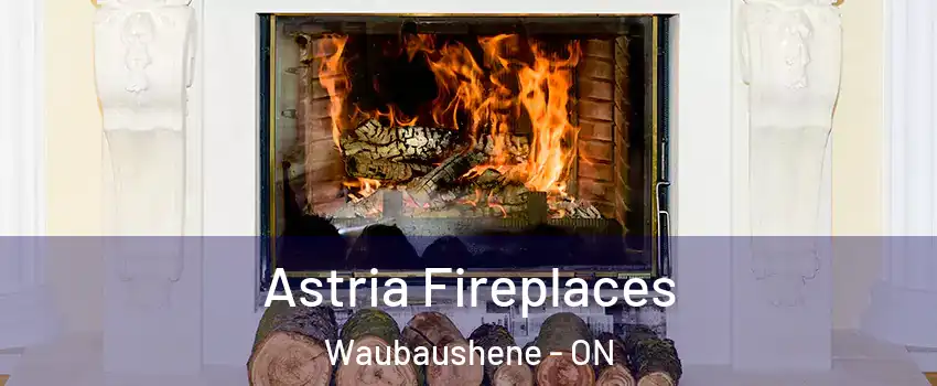  Astria Fireplaces Waubaushene - ON
