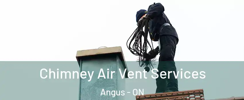  Chimney Air Vent Services Angus - ON