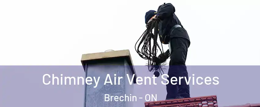  Chimney Air Vent Services Brechin - ON