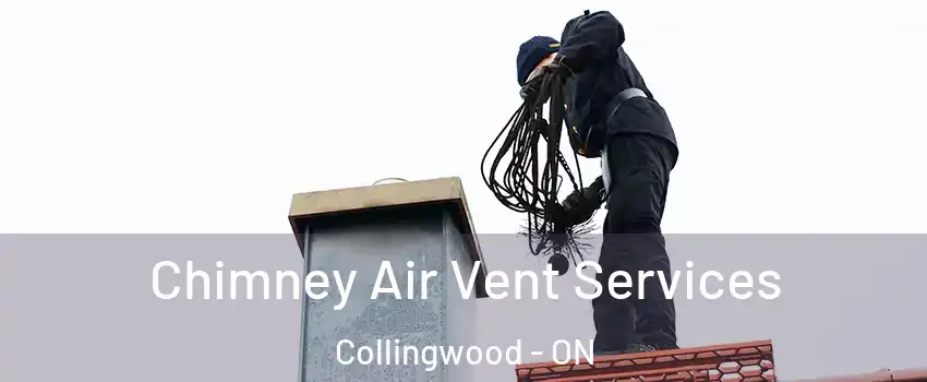  Chimney Air Vent Services Collingwood - ON