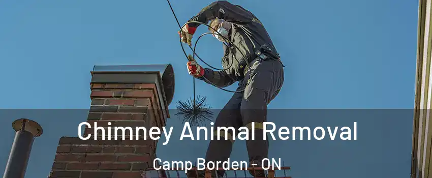  Chimney Animal Removal Camp Borden - ON