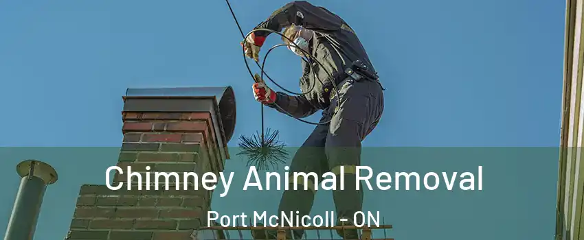  Chimney Animal Removal Port McNicoll - ON