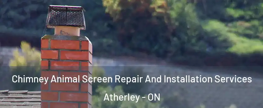 Chimney Animal Screen Repair And Installation Services Atherley - ON