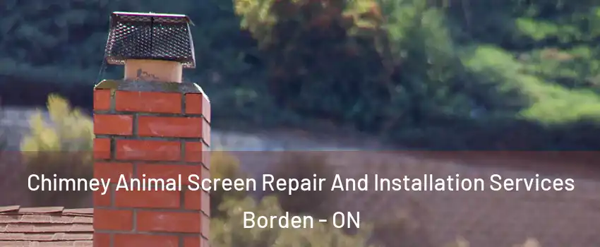  Chimney Animal Screen Repair And Installation Services Borden - ON