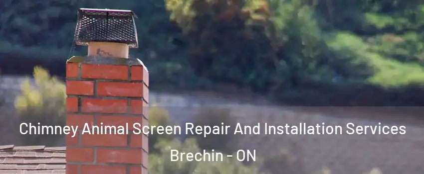  Chimney Animal Screen Repair And Installation Services Brechin - ON