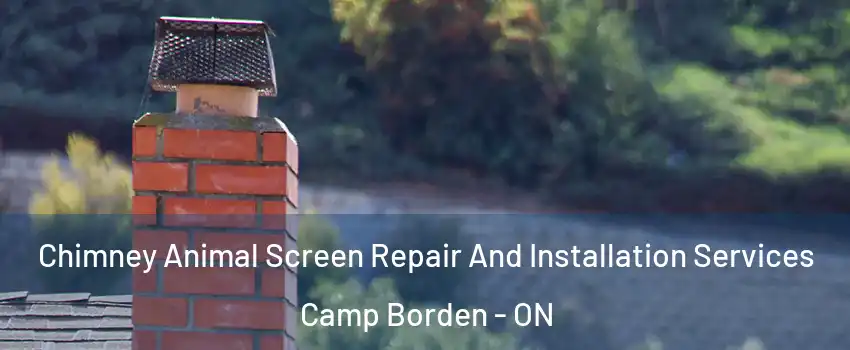  Chimney Animal Screen Repair And Installation Services Camp Borden - ON