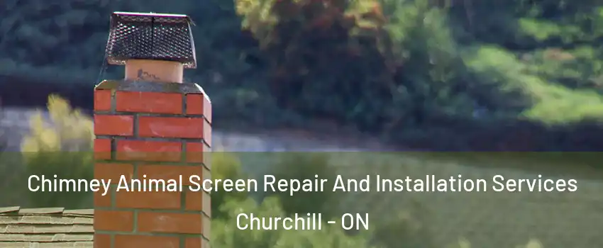  Chimney Animal Screen Repair And Installation Services Churchill - ON