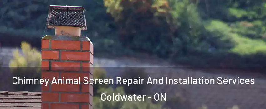 Chimney Animal Screen Repair And Installation Services Coldwater - ON