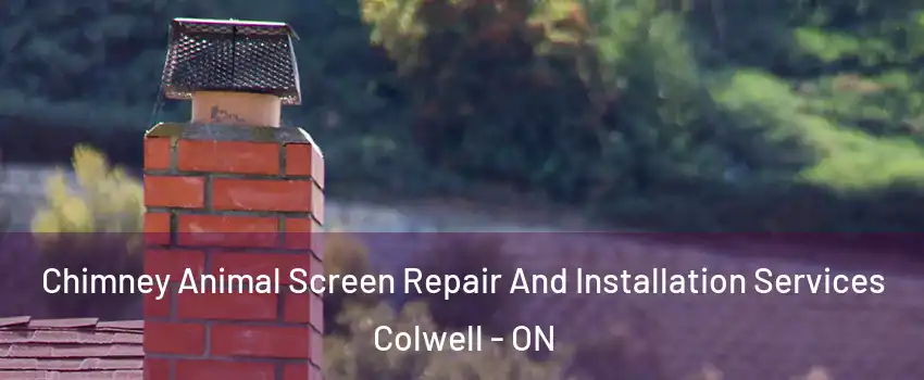  Chimney Animal Screen Repair And Installation Services Colwell - ON