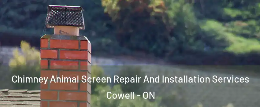  Chimney Animal Screen Repair And Installation Services Cowell - ON