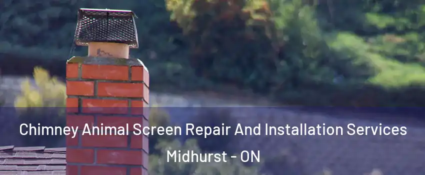  Chimney Animal Screen Repair And Installation Services Midhurst - ON