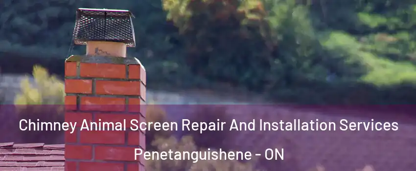  Chimney Animal Screen Repair And Installation Services Penetanguishene - ON