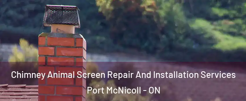  Chimney Animal Screen Repair And Installation Services Port McNicoll - ON