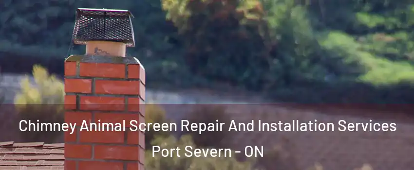  Chimney Animal Screen Repair And Installation Services Port Severn - ON