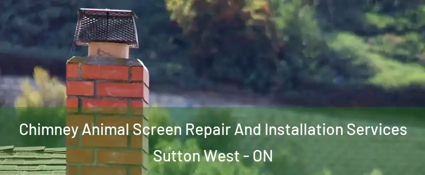  Chimney Animal Screen Repair And Installation Services Sutton West - ON