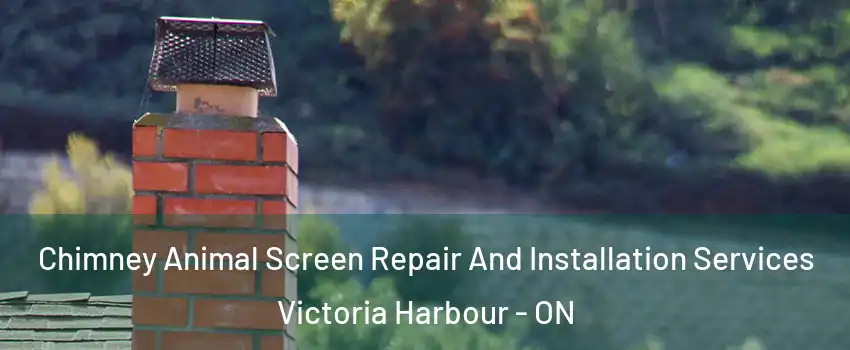  Chimney Animal Screen Repair And Installation Services Victoria Harbour - ON