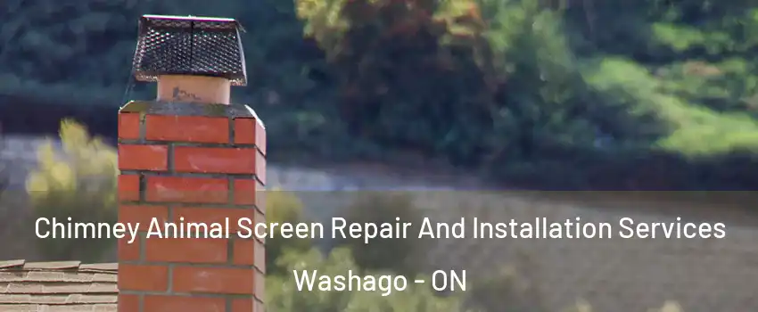  Chimney Animal Screen Repair And Installation Services Washago - ON