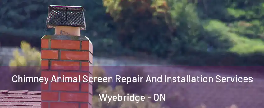  Chimney Animal Screen Repair And Installation Services Wyebridge - ON