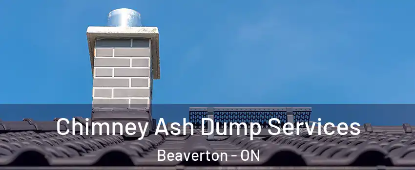 Chimney Ash Dump Services Beaverton - ON