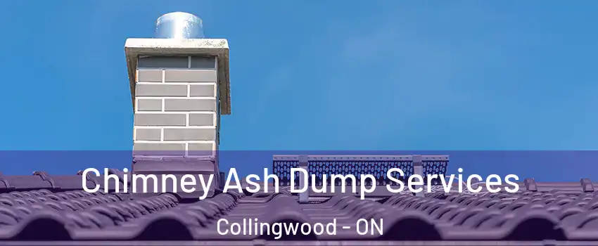  Chimney Ash Dump Services Collingwood - ON