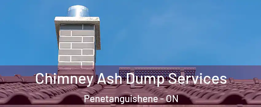  Chimney Ash Dump Services Penetanguishene - ON