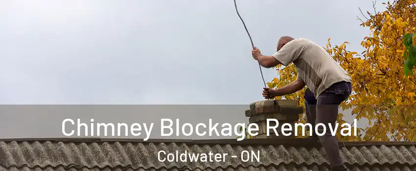  Chimney Blockage Removal Coldwater - ON