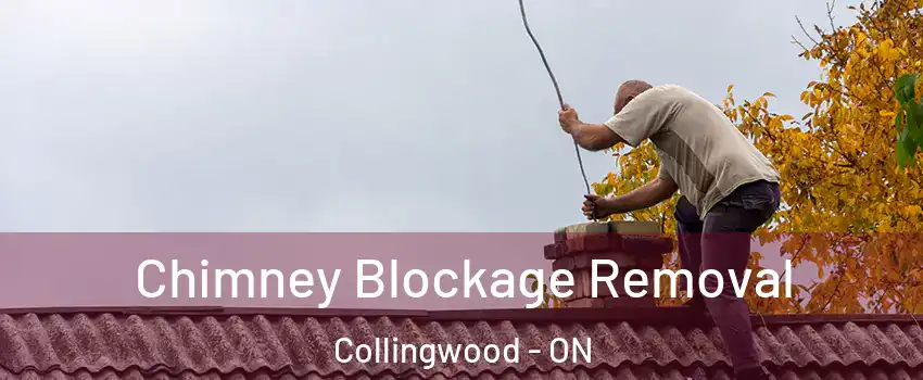  Chimney Blockage Removal Collingwood - ON