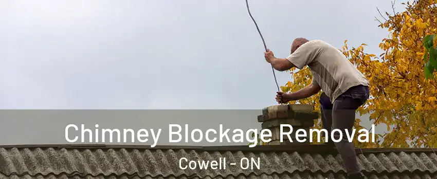 Chimney Blockage Removal Cowell - ON