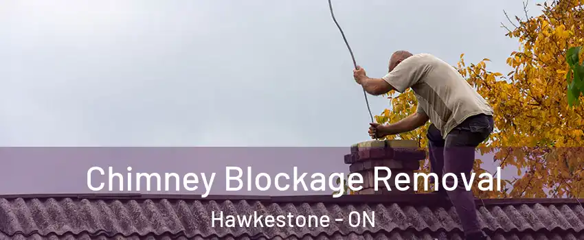 Chimney Blockage Removal Hawkestone - ON