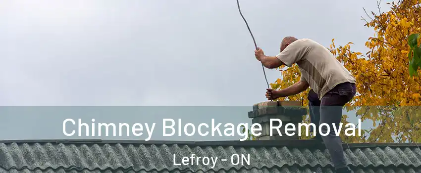 Chimney Blockage Removal Lefroy - ON