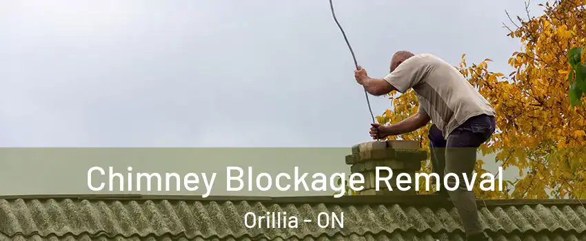  Chimney Blockage Removal Orillia - ON