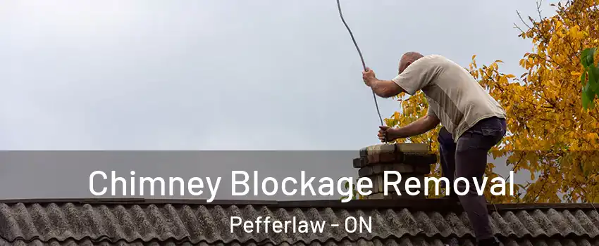 Chimney Blockage Removal Pefferlaw - ON