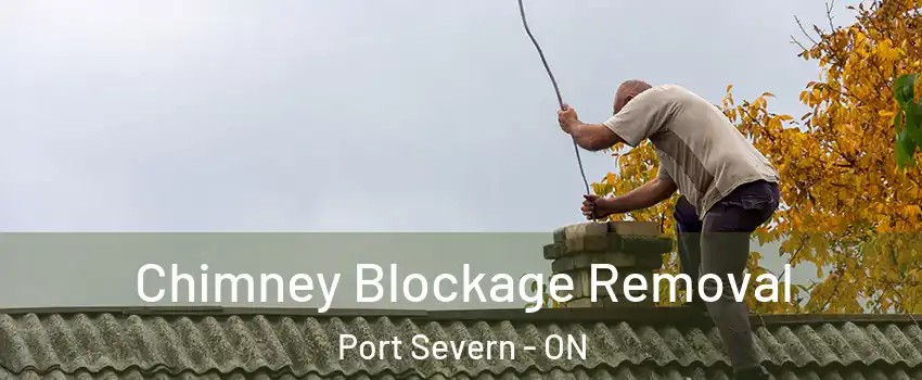 Chimney Blockage Removal Port Severn - ON