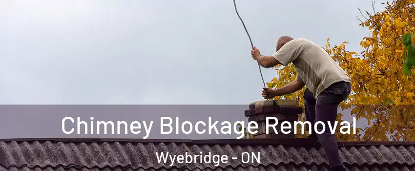  Chimney Blockage Removal Wyebridge - ON