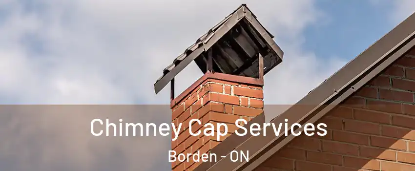Chimney Cap Services Borden - ON