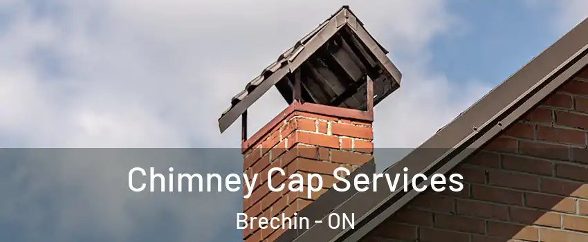Chimney Cap Services Brechin - ON