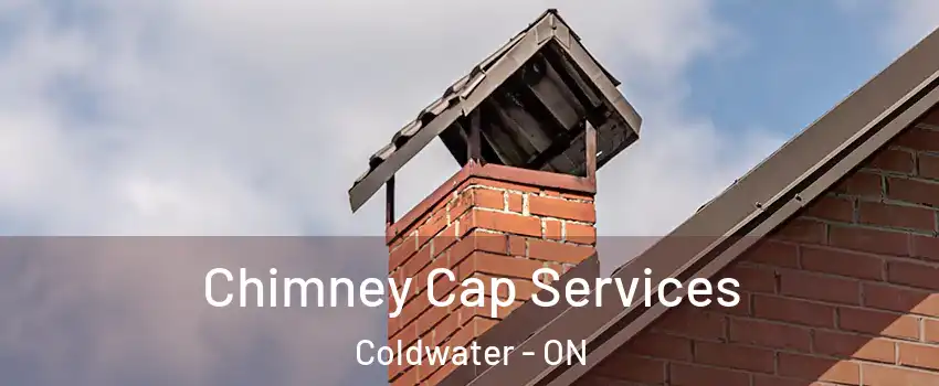  Chimney Cap Services Coldwater - ON