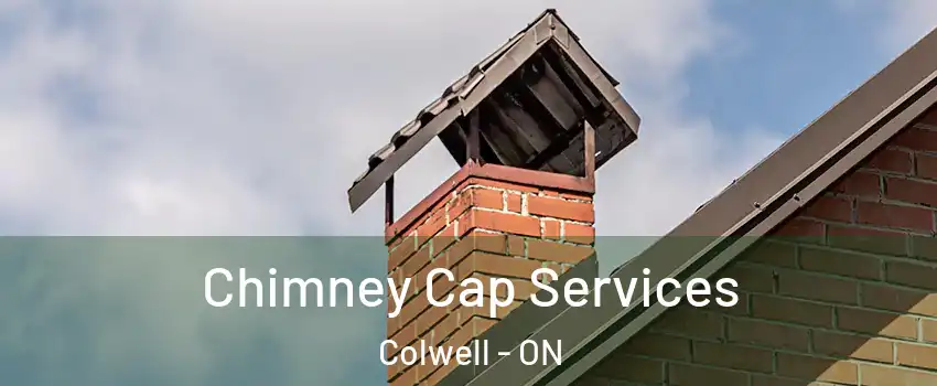 Chimney Cap Services Colwell - ON