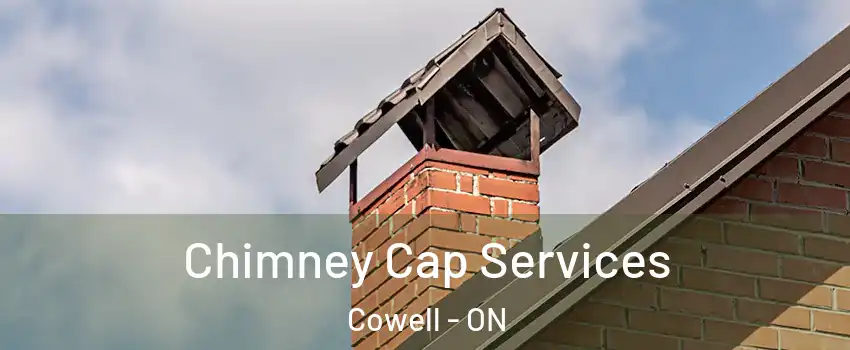 Chimney Cap Services Cowell - ON