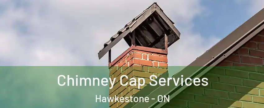  Chimney Cap Services Hawkestone - ON