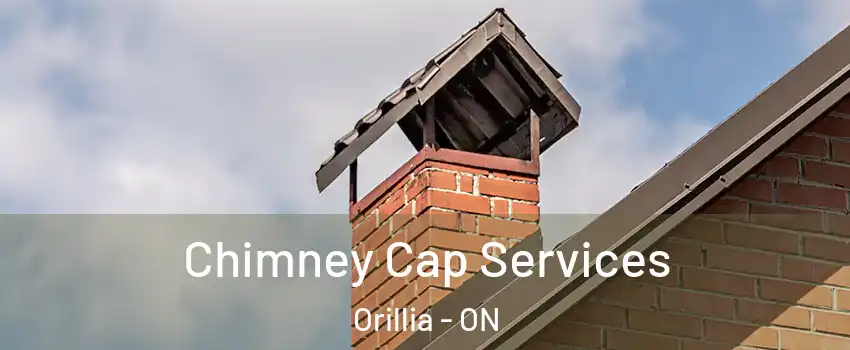Chimney Cap Services Orillia - ON