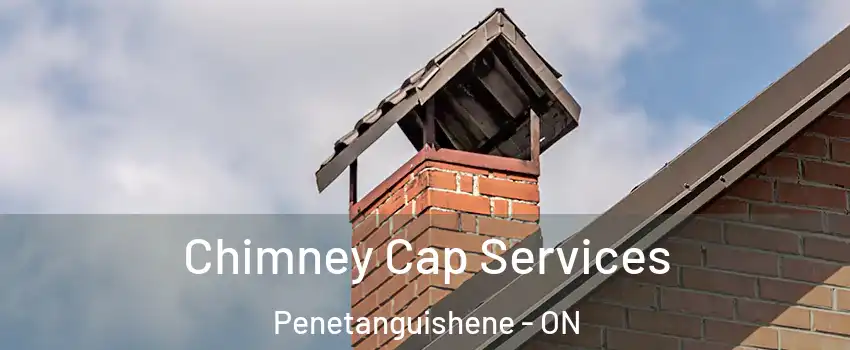 Chimney Cap Services Penetanguishene - ON