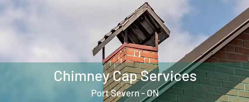  Chimney Cap Services Port Severn - ON