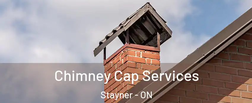 Chimney Cap Services Stayner - ON
