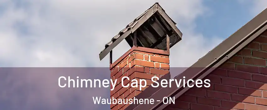  Chimney Cap Services Waubaushene - ON