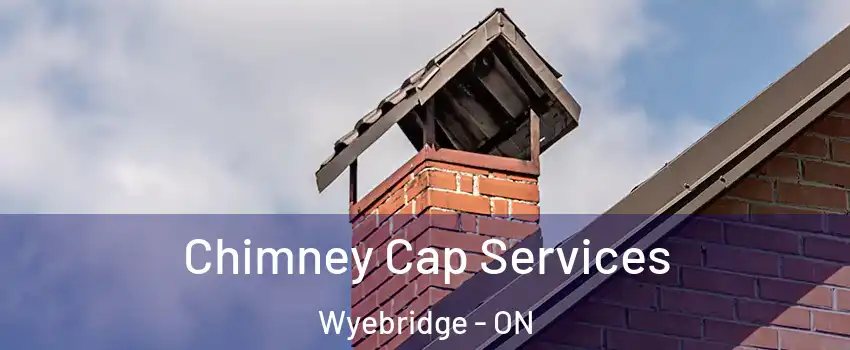 Chimney Cap Services Wyebridge - ON