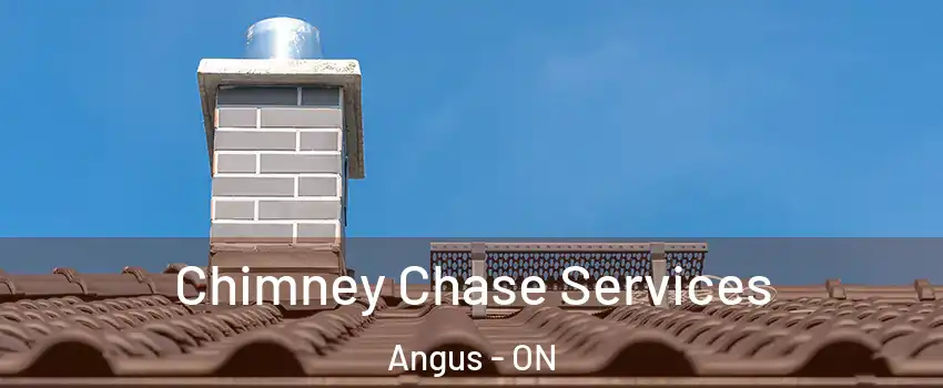 Chimney Chase Services Angus - ON