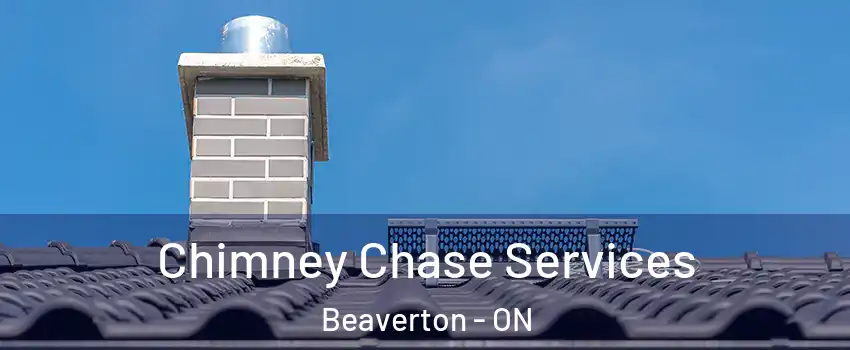 Chimney Chase Services Beaverton - ON
